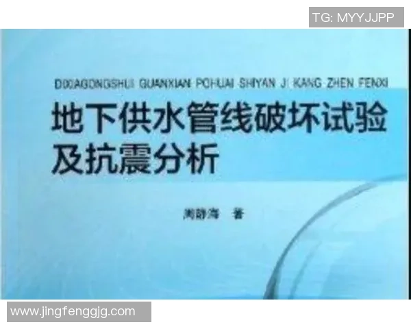 杭州乒乓球队技术解析：从基础训练到比赛策略的全面探讨